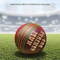 Vibronics Meets Concious Sounds - Half Century Dub: Five Decades In The Mix - Music CD