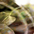 Barreca,marc - Aberrant Lens - Music CD