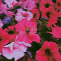 Neaux - Fell Off The Deep End - Vinyl Record