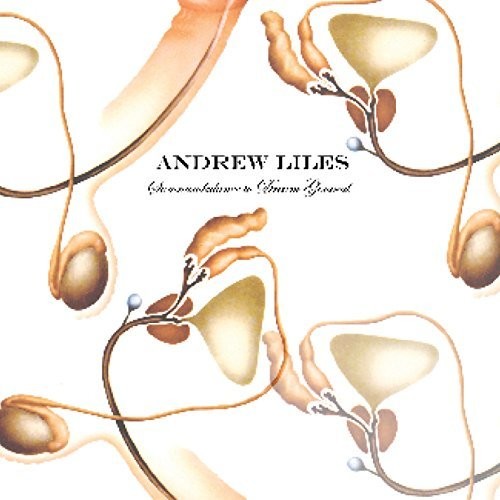 Liles,andrew - Somnambulance To Dream General - Music CD