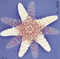 Spitz - Spitz - Music CD
