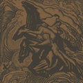 Sunn O - Flight Of The Behemoth - Music CD