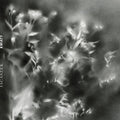 KWIATY [LP] Vinyl Record