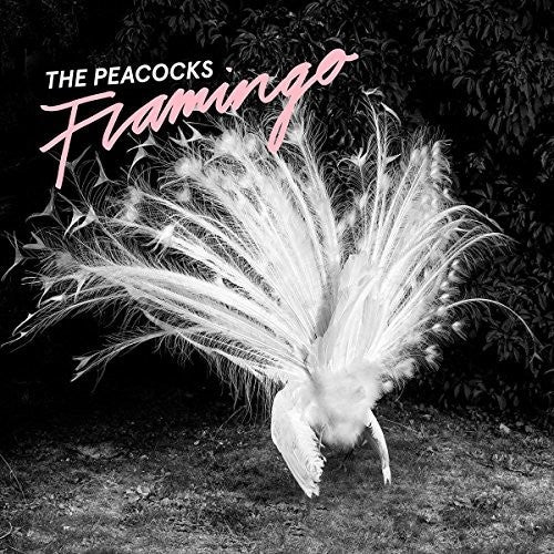 Peacocks - Flamingo - Music CD