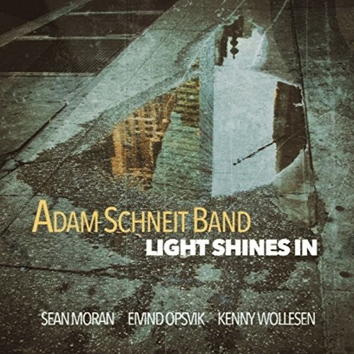 Schneit,adam - Light Shines In - Music CD