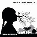 Was Wenns Regnet - Falsche Nasen - Music CD