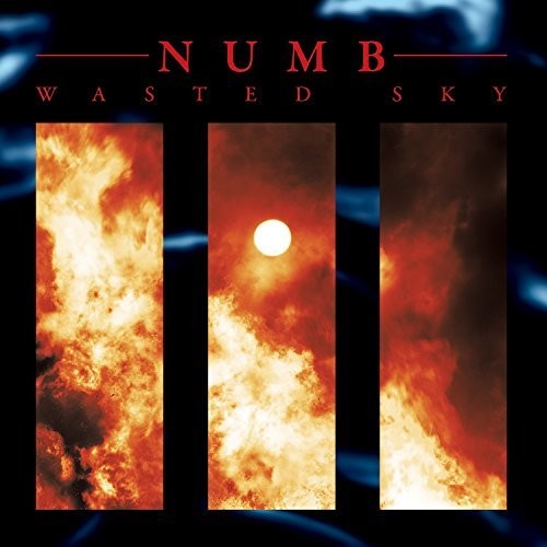 Numb - Wasted Sky - Vinyl Record