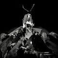 Les Marquises - Night Full Of Collapses - Music CD