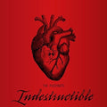 Pussybats - Indestructible - Music CD