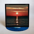 Bachmann,eric - No Recover - Vinyl Record