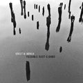 Hersh,kristin - Possible Dust - Music CD