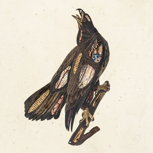 Clutch - Book Of Bad Decisions