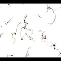 Winged Serpents - Encomiums For Cecil Taylor / Var - Winged Serpents - Encomiums For Cecil Taylor / Var - Music CD