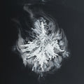 Seabuckthorn - Turns - Music CD