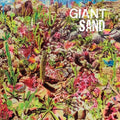 Giant Sand - Returns To Valley Of Rain - Music CD