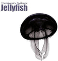Mushroom's Patience - Jellyfish - Music CD