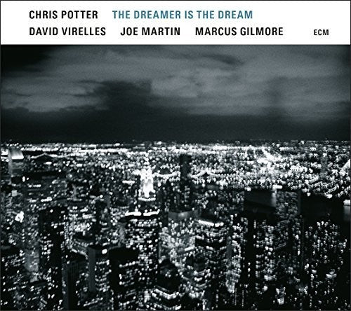 Potter,chris - Dreamer Is The Dream - Music CD