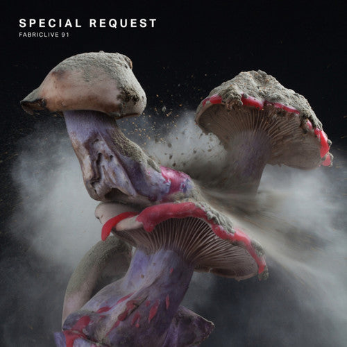 Special Request - Fabriclive 91 - Music CD