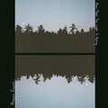 Rogers,maggie - Now That The Light Is Fading - Vinyl Record