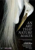 Art That Nature Makes - Art That Nature Makes - DVD