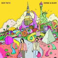 Change & Bloom [LP] Vinyl Record