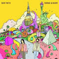Deaf Poets - Change & Bloom - Music CD