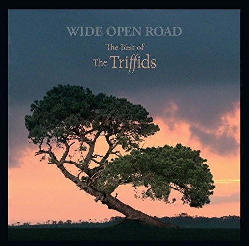 Triffids - Wide Open Road: Best Of The Triffids - Music CD