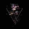 Clavier,natalia - Trans - Music CD