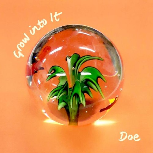 Doe - Grow Into It - Music CD