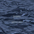 Dodos - Certainty Waves - Music CD