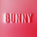 Dear,matthew - Bunny - Vinyl Record