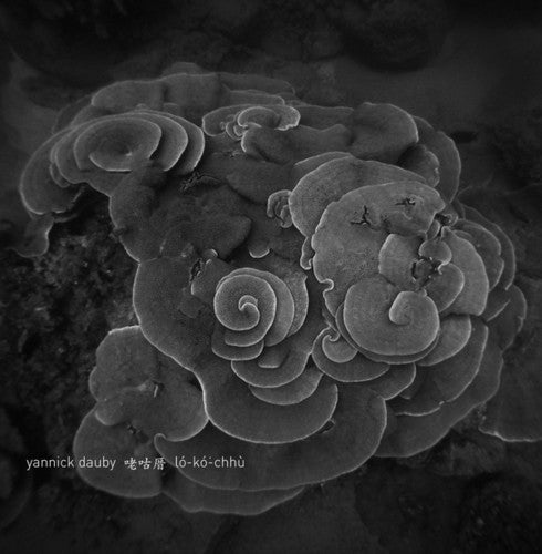 Dauby,yannick - Penghu Experimental Sound Studio 2 - Vinyl Record