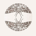 Jute Gyte - Sparrow - Vinyl Record