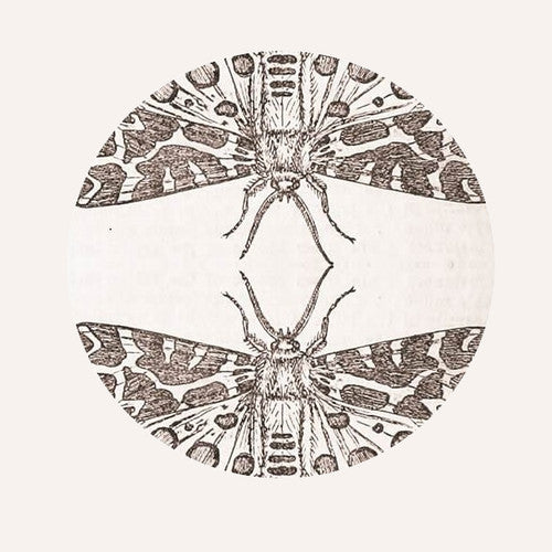 Jute Gyte - Sparrow - Vinyl Record