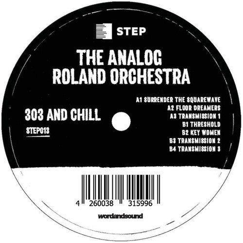 Analog Roland Orchestra - 303 And Chill - Vinyl Record