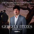 Donizetti / Karg-elert / Kuhlau / Reinecke - Great Book Of Flute Sonatas: Romantic Sonatas 2 - Music CD