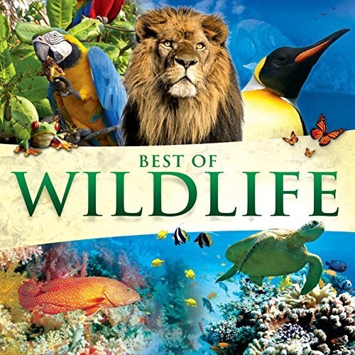 Best Of Wildlife / Various - Best Of Wildlife / Various - Music CD