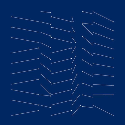 Scald Rougish - Idioal Oifrmech - Vinyl Record
