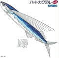 Matsuoka,naoya - Heart Cocktail Vol 2 - Music CD