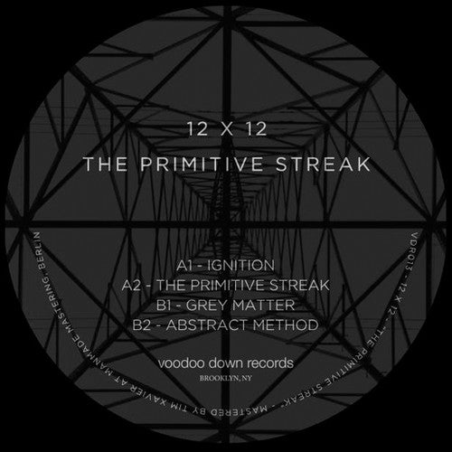 12 X 12 - Primitive Streak - Vinyl Record