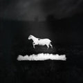 Predateurs (Blk) [180 Gram] Vinyl Record