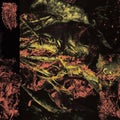 Hissing - Permanent Destitution - Music CD