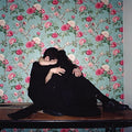 Ghost Twin - Plastic Heart - Music CD
