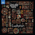 Falla / Ensemble Naya / D'or - Exaltation - Music CD