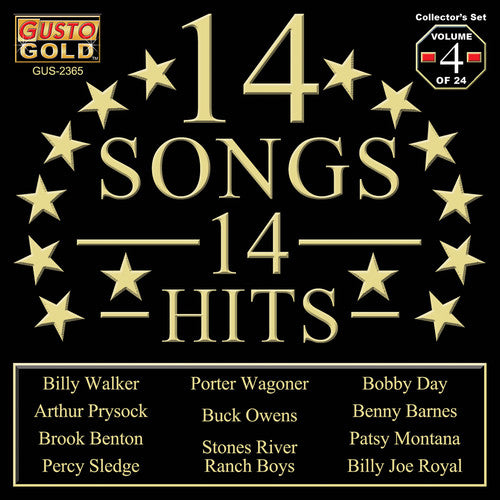 14 Songs 14 Hits / Various - 14 Songs 14 Hits / Various - Music CD