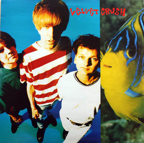 Velvet Crush - In The Presence Of Greatness - Vinyl Record