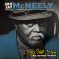 Mcneely,big Jay - I'm Still Here - Big Jay Sings The Blues - Music CD