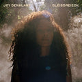 Denalane,joy - Gleisdreieck: Limited Edition - Music CD