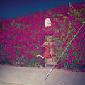 Feist - Pleasure - Music CD