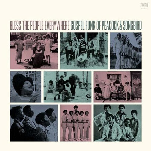 Bless The People / Various - Bless The People / Various - Vinyl Record